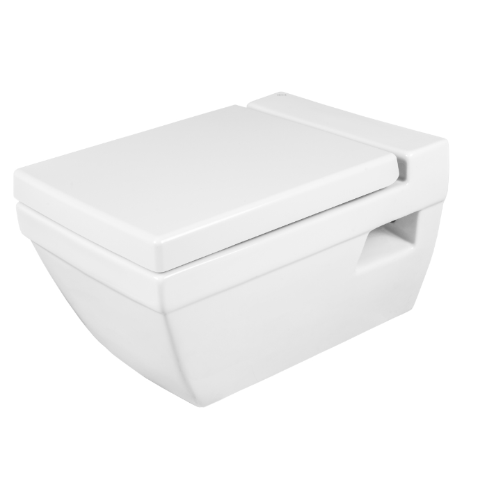 سيلويا 55 (درجه 1) 